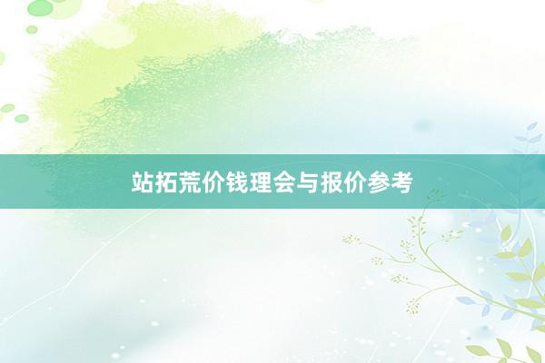 站拓荒价钱理会与报价参考
