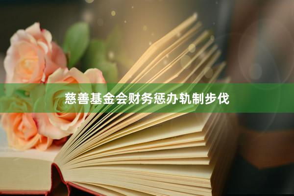 慈善基金会财务惩办轨制步伐